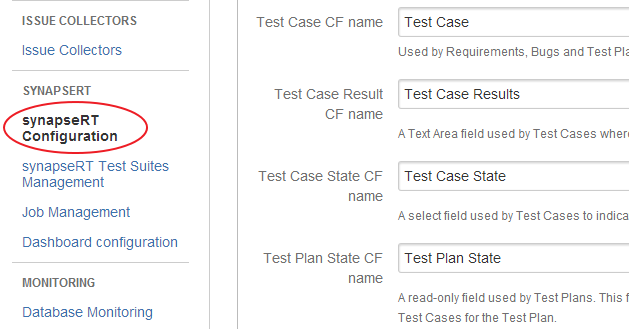 synapseRT Configuration Options